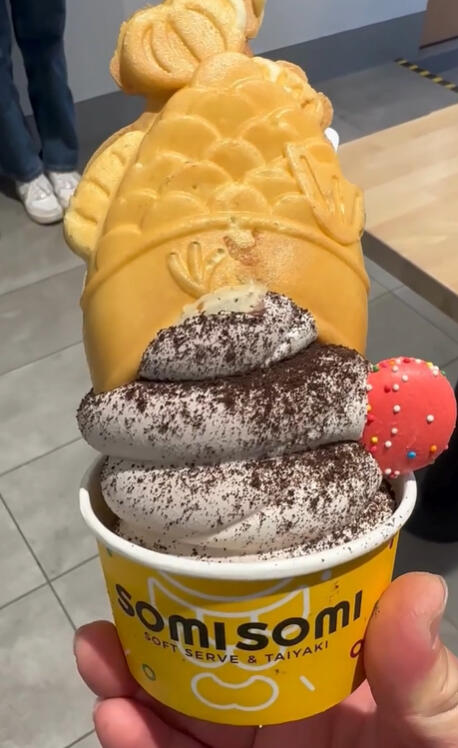 fish-shaped waffle cone with your choice of filled and topped with soft serve ice cream.